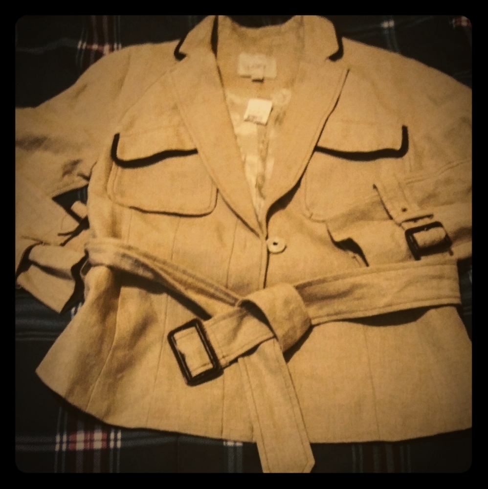 Ann Taylor Brown Blazer